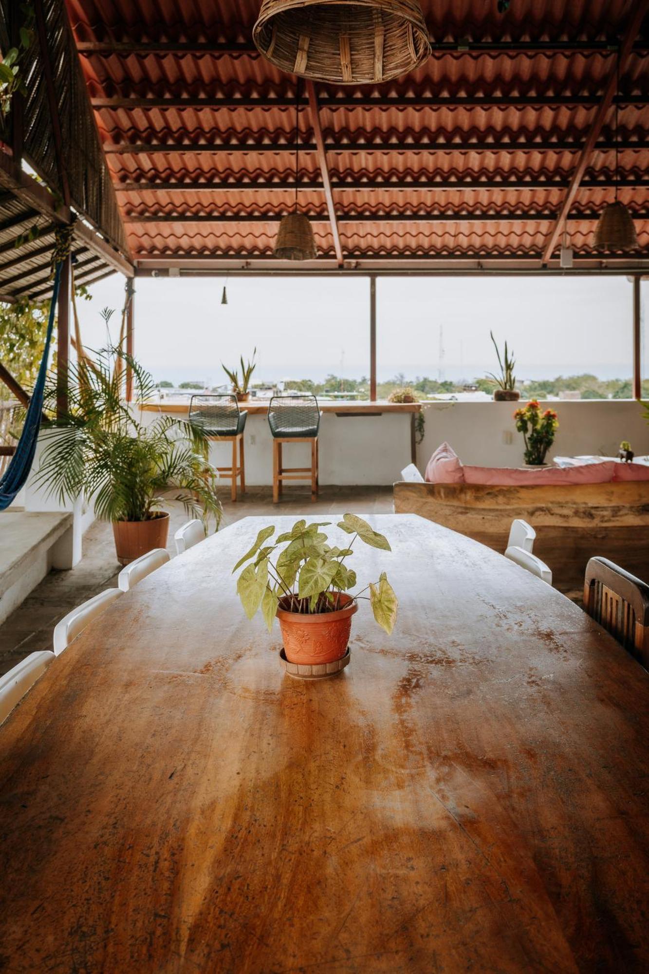 Terraza Puerto Hostel 埃斯孔迪多港 外观 照片