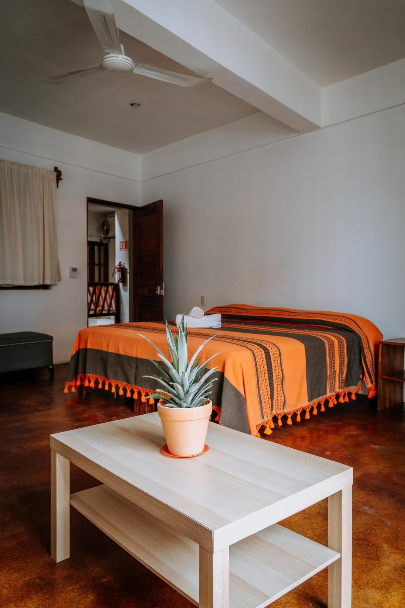 Terraza Puerto Hostel 埃斯孔迪多港 外观 照片