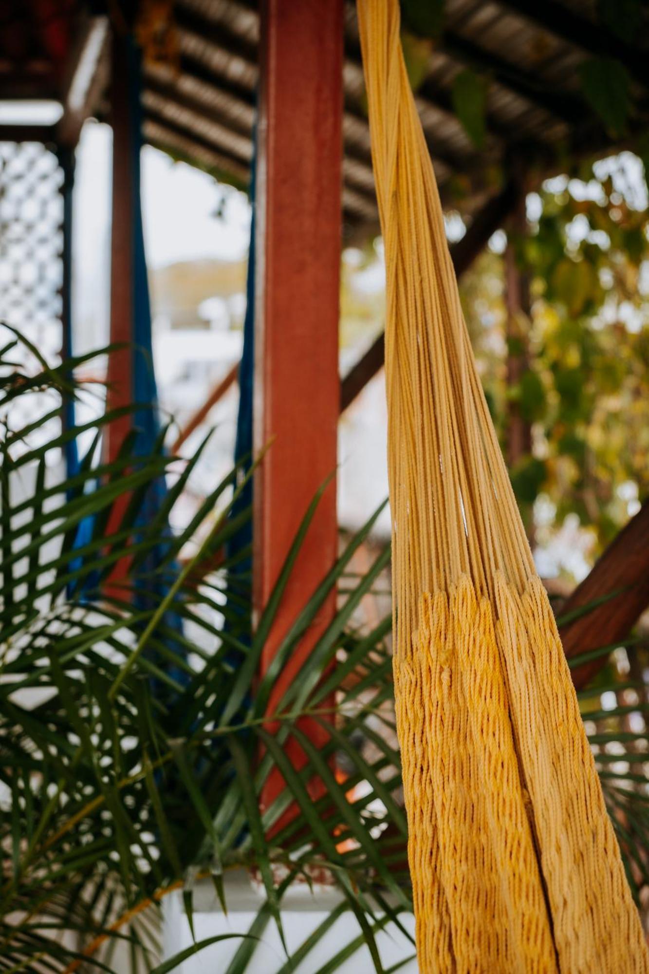 Terraza Puerto Hostel 埃斯孔迪多港 外观 照片